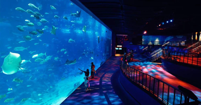 Thủy Cung S.E.A. Aquarium - Như một đại dương thu nhỏ