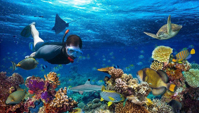 Những điểm khám phá tuyệt đẹp khi đi tour Maldives 