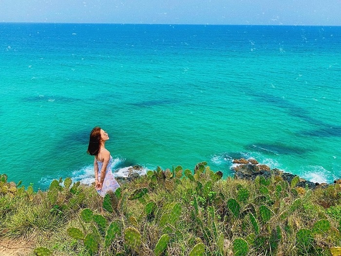 Nên đi đâu chơi khi đặt tour Phú Yên? Nên đi đâu chơi khi đặt tour Phú Yên?