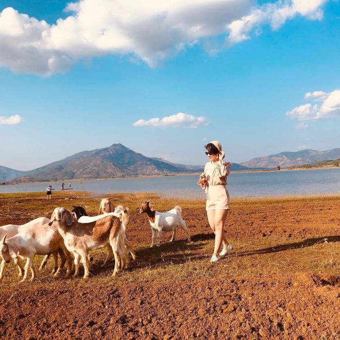 Bãi bồi trong tour Pleiku và chơi đùa cùng với những chú dê