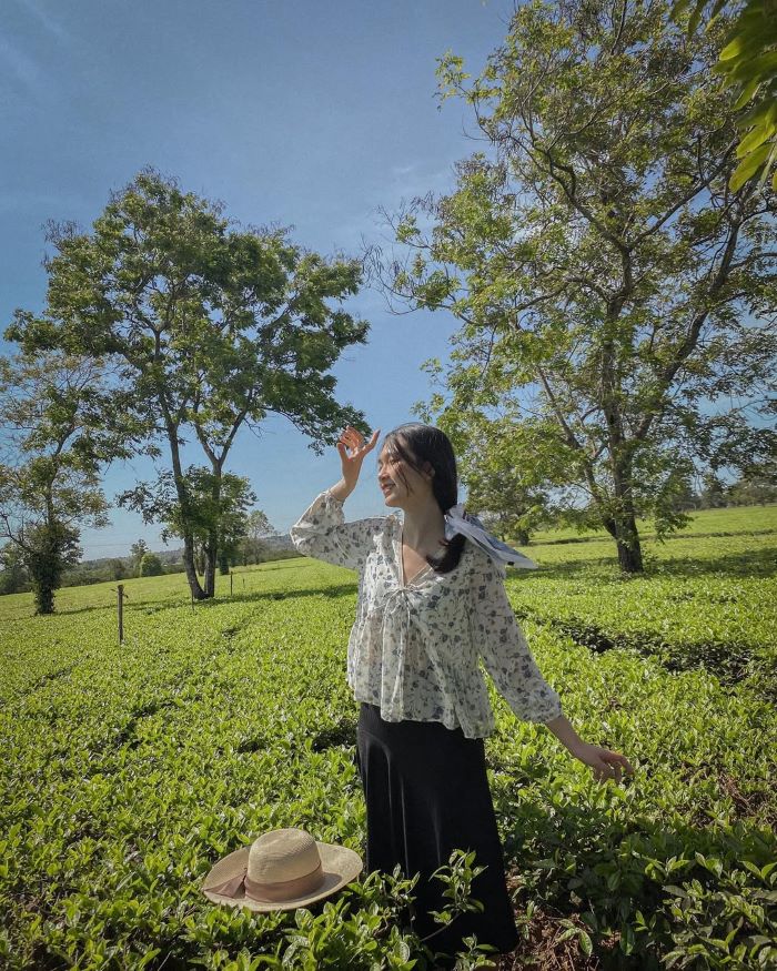 Ghé thăm biển hồ chè trong tour Pleiku Tây Nguyên