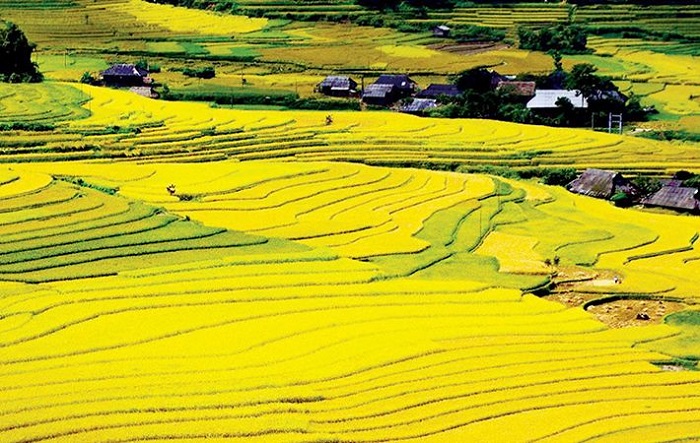 Nên đi đâu chơi khi đi tour Điện Biên? Nên đi đâu chơi khi đi tour Điện Biên?