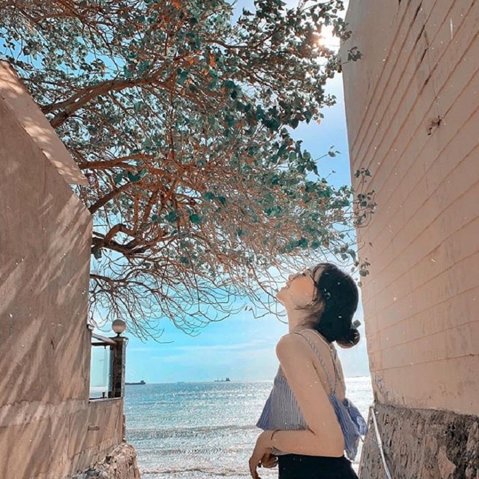 Trải nghiệm tour Vũng Tàu khám phá vẻ đẹp hoang sơ 
