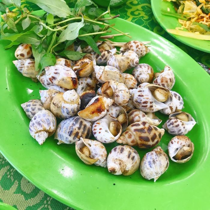 Ốc hương ở vùng biển thưởng thức trong tour Ghềnh Ráng Tiên Sa