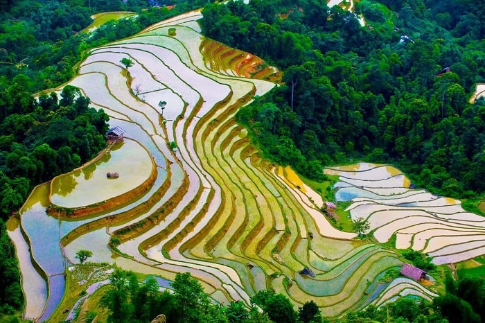 Đặt tour Mù Cang Chải, đi để thấy vẻ đẹp thuần khiết trên những bản làng vùng cao Đặt tour Mù Cang Chải, đi để thấy vẻ đẹp thuần khiết trên những bản làng vùng cao