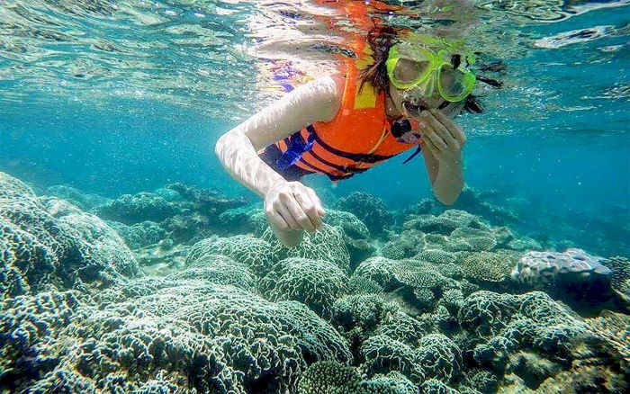Lặn và tham gia hoạt động thú vị ngắm san hô trong tour du lịch đảo Bé