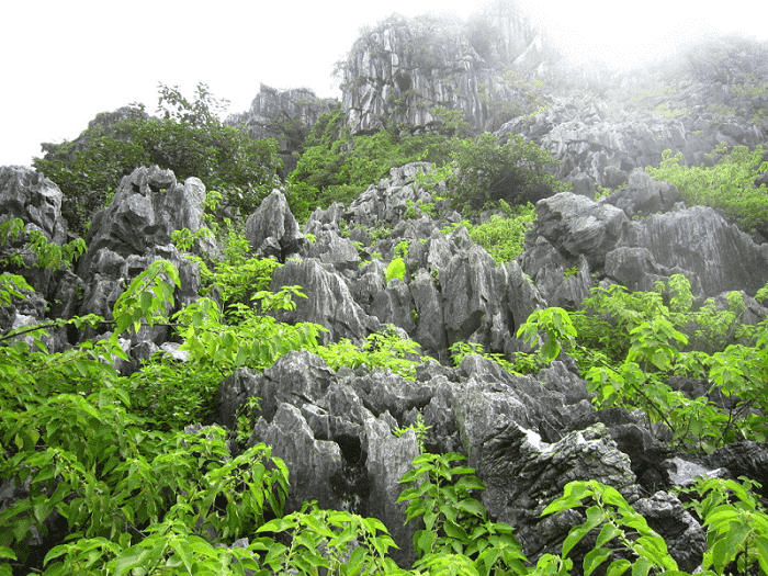 Đi tour Hải Phòng khám phá vẻ đẹp đất cảng lãng mạn Đi tour Hải Phòng khám phá vẻ đẹp đất cảng lãng mạn