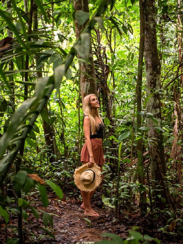 Nên đến Rừng nhiệt đới Amazon khi đi tour Brazil