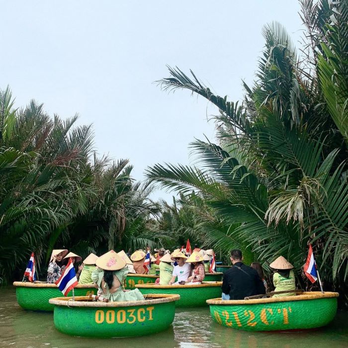 Ngắm nhìn thiên nhiên đa dạng tại rừng dừa khi đi tour phố cổ Hội An
