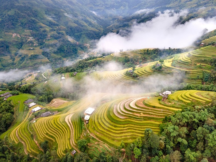 Tour Hà Giang - tham quan Hoàng su Phì Tour Hà Giang - tham quan Hoàng su Phì