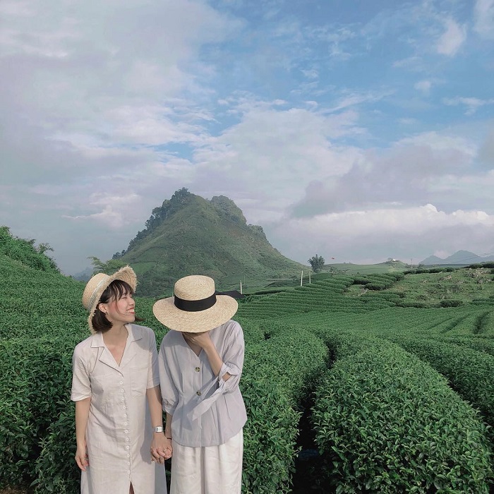 tour Mộc Châu - tham quan đồi chè tour Mộc Châu - tham quan đồi chè