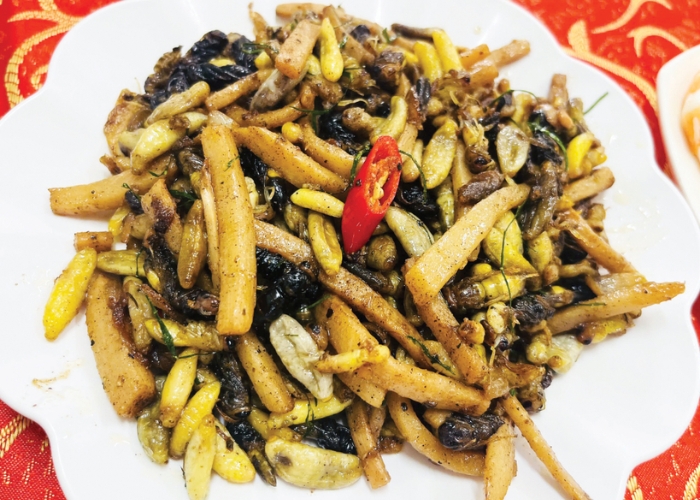 Ong rừng xào măng món ăn rất đáng để thử khi du lịch Hòa Bình