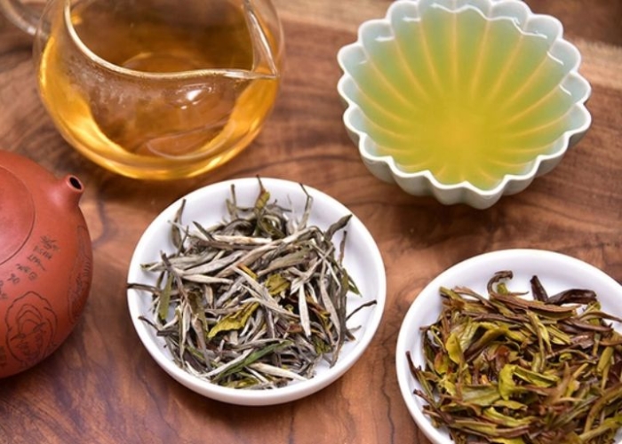 Chè Shan Tuyết món quà ý nghĩa dành cho những ai yêu thích trà