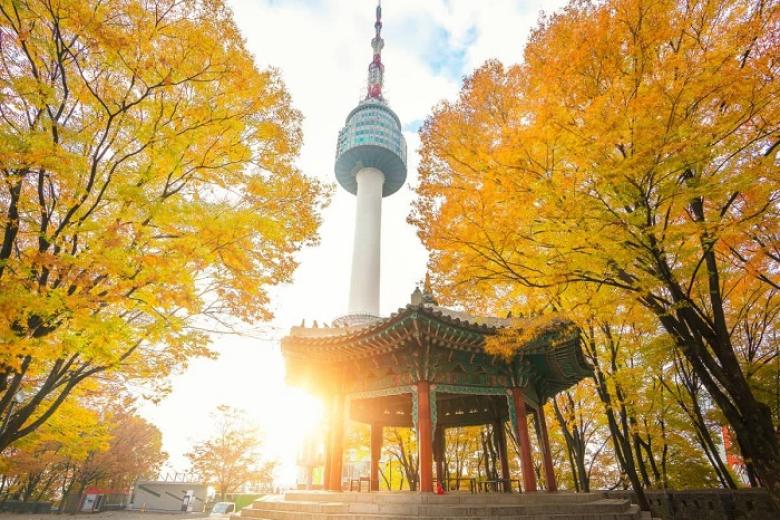 Tháp Namsan (Không bao gồm phí lên tháp)