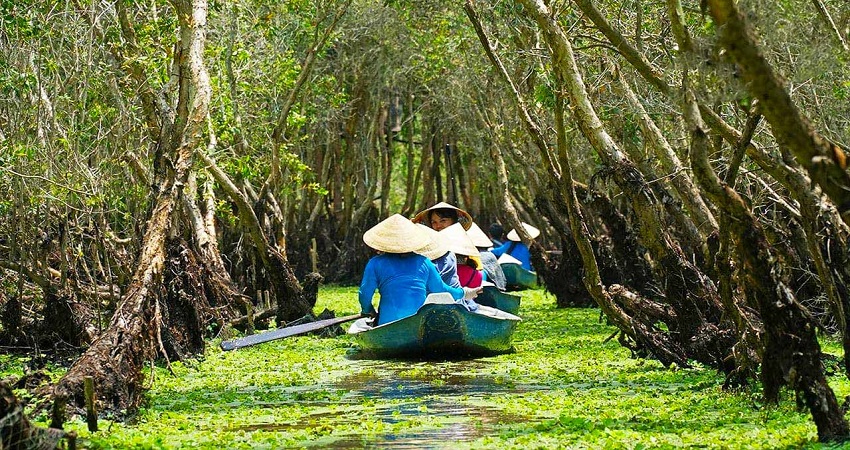 Vui chơi, tham quan